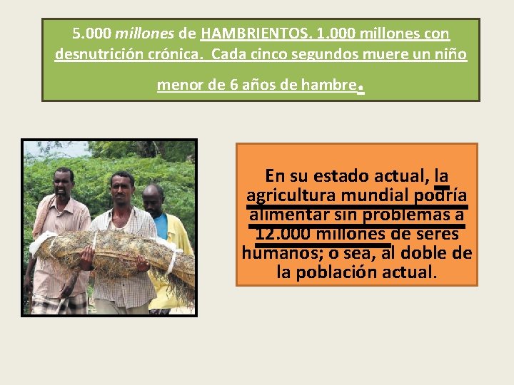 5. 000 millones de HAMBRIENTOS. 1. 000 millones con desnutrición crónica. Cada cinco segundos