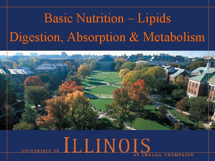 Basic Nutrition – Lipids Digestion, Absorption & Metabolism 