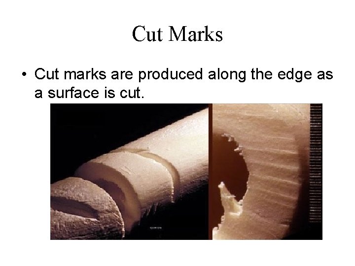 Cut Marks • Cut marks are produced along the edge as a surface is