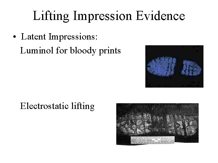 Lifting Impression Evidence • Latent Impressions: Luminol for bloody prints Electrostatic lifting 