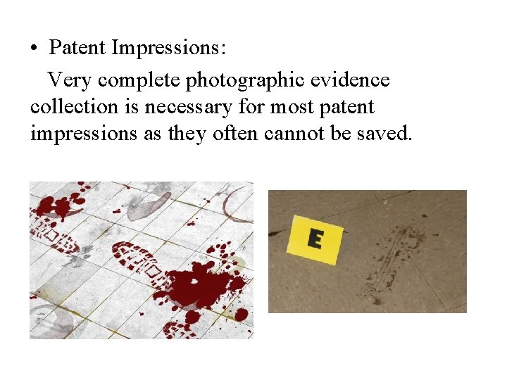  • Patent Impressions: Very complete photographic evidence collection is necessary for most patent