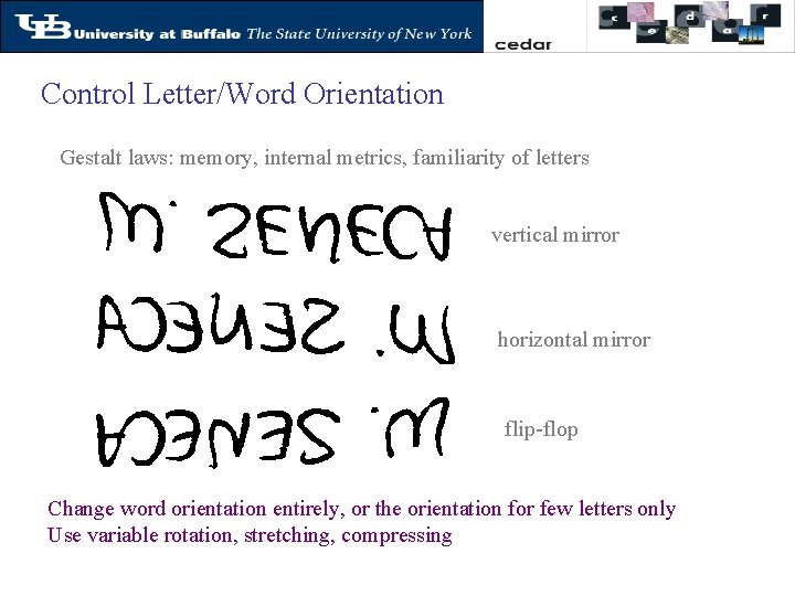 Control Letter/Word Orientation Gestalt laws: memory, internal metrics, familiarity of letters vertical mirror horizontal