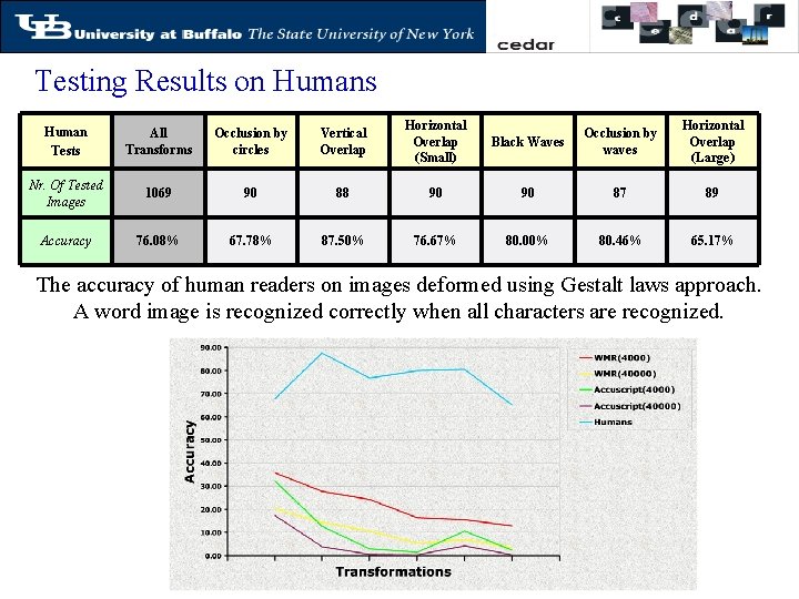 Testing Results on Humans Human Tests All Transforms Occlusion by circles Vertical Overlap Horizontal