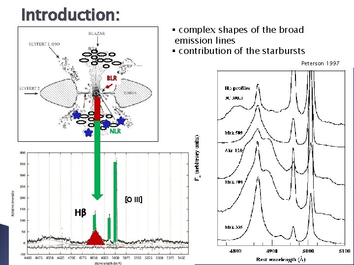 Introduction: § complex shapes of the broad emission lines § contribution of the starbursts