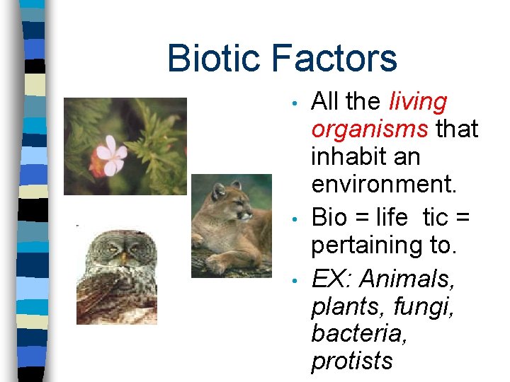 Biotic Factors • • • All the living organisms that inhabit an environment. Bio