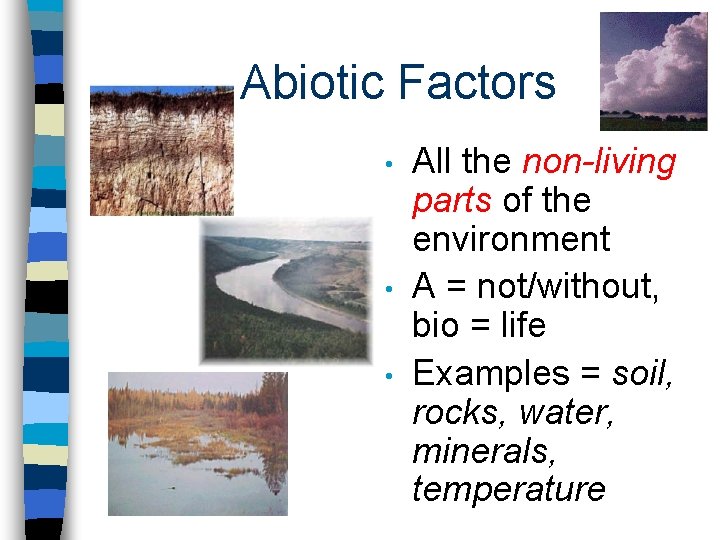 Abiotic Factors • • • All the non-living parts of the environment A =