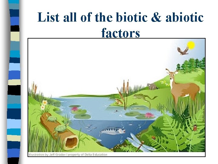 List all of the biotic & abiotic factors 
