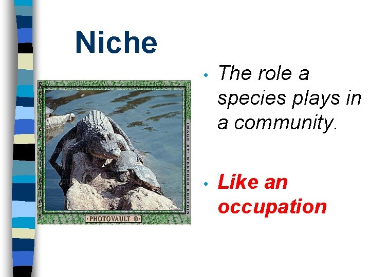 Niche • The role a species plays in a community. • Like an occupation