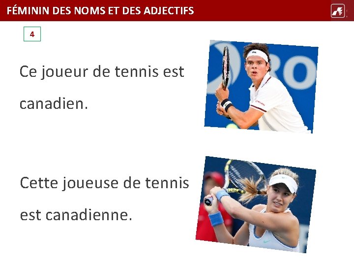 FÉMININ DES NOMS ET DES ADJECTIFS TÍTULO 4 Ce joueur de tennis est canadien.