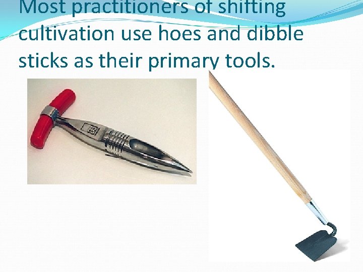 Most practitioners of shifting cultivation use hoes and dibble sticks as their primary tools.