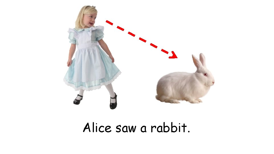 Alice saw a rabbit. 