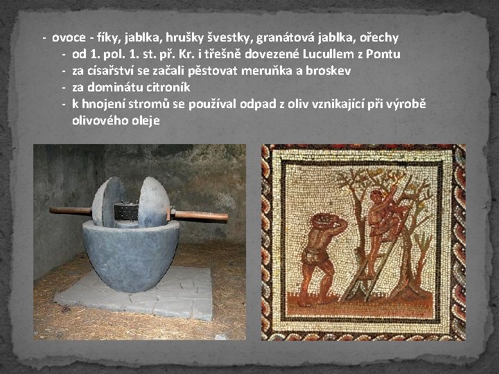 - ovoce - fíky, jablka, hrušky švestky, granátová jablka, ořechy - od 1. pol.