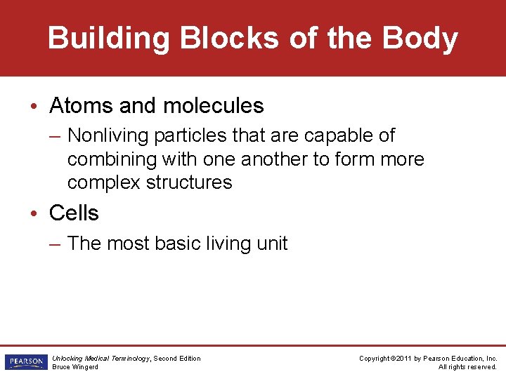 Building Blocks of the Body • Atoms and molecules – Nonliving particles that are