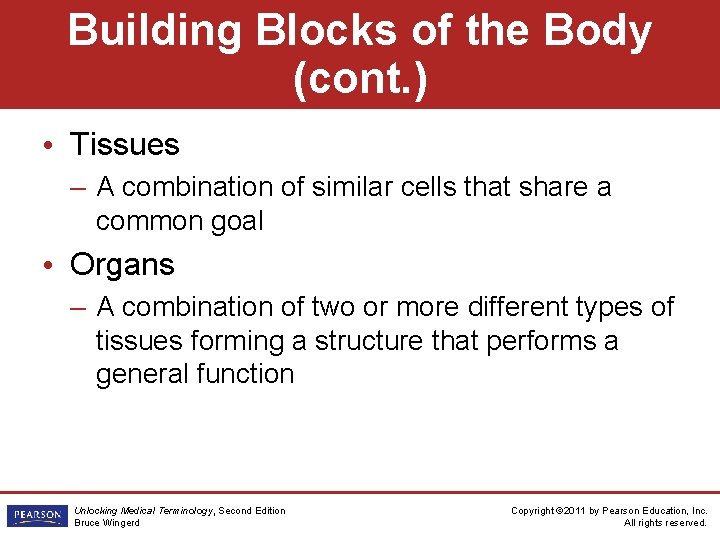 Building Blocks of the Body (cont. ) • Tissues – A combination of similar