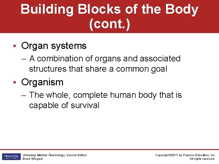 Building Blocks of the Body (cont. ) • Organ systems – A combination of