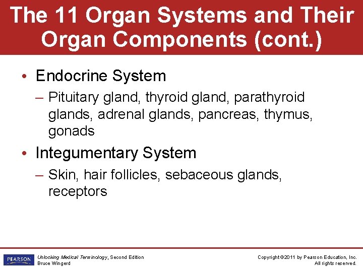 The 11 Organ Systems and Their Organ Components (cont. ) • Endocrine System –