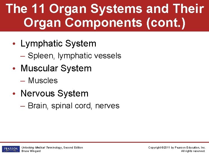 The 11 Organ Systems and Their Organ Components (cont. ) • Lymphatic System –