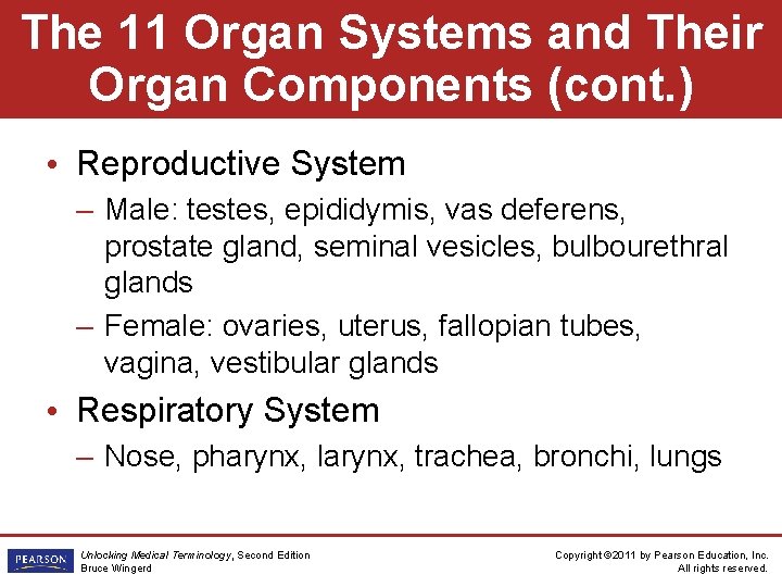 The 11 Organ Systems and Their Organ Components (cont. ) • Reproductive System –