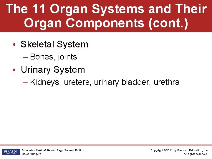 The 11 Organ Systems and Their Organ Components (cont. ) • Skeletal System –