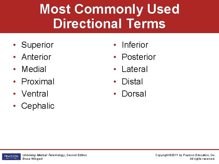 Most Commonly Used Directional Terms • • • Superior Anterior Medial Proximal Ventral Cephalic