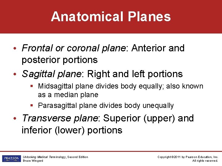 Anatomical Planes • Frontal or coronal plane: Anterior and posterior portions • Sagittal plane: