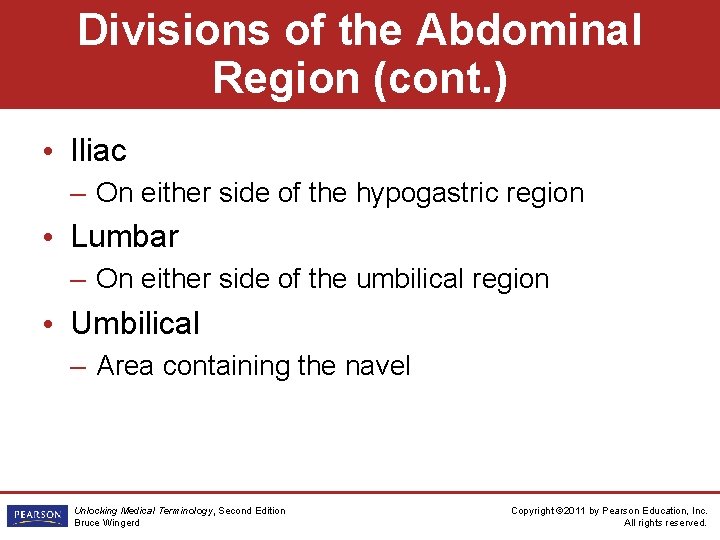 Divisions of the Abdominal Region (cont. ) • Iliac – On either side of