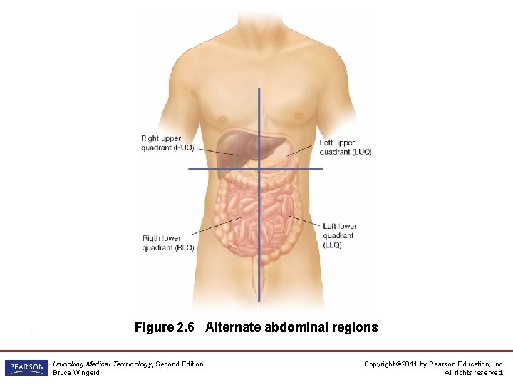 . Figure 2. 6 Alternate abdominal regions Unlocking Medical Terminology, Second Edition Bruce Wingerd