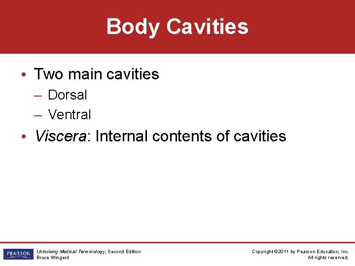 Body Cavities • Two main cavities – Dorsal – Ventral • Viscera: Internal contents