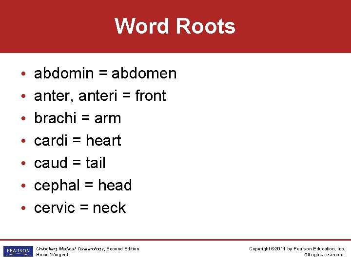 Word Roots • • abdomin = abdomen anter, anteri = front brachi = arm