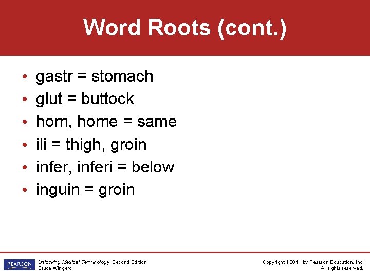 Word Roots (cont. ) • • • gastr = stomach glut = buttock hom,