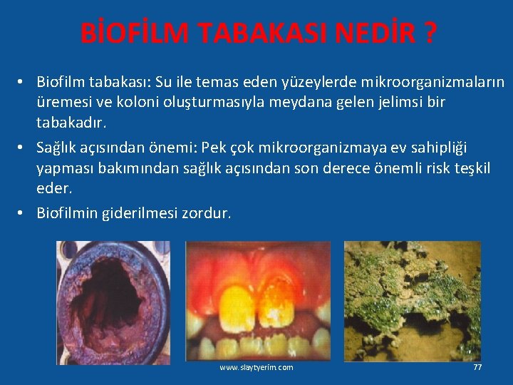 BİOFİLM TABAKASI NEDİR ? • Biofilm tabakası: Su ile temas eden yüzeylerde mikroorganizmaların üremesi