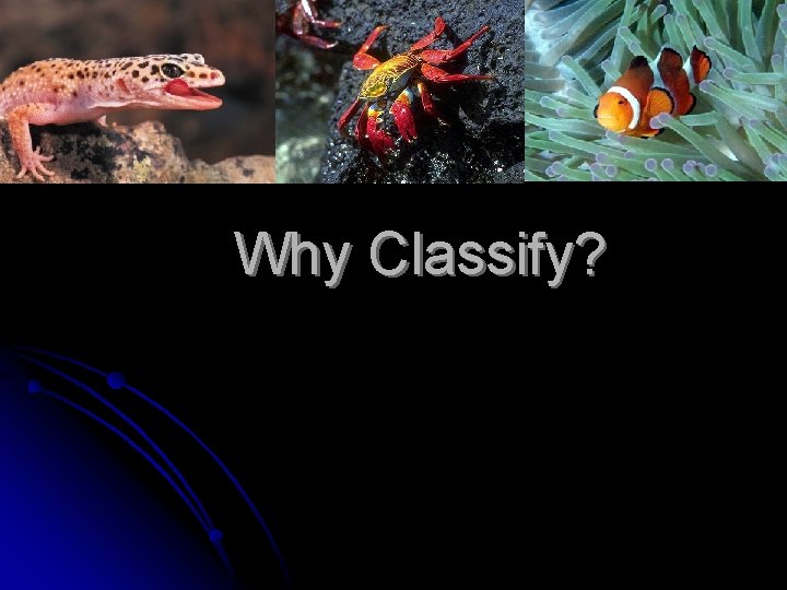 Why Classify? 