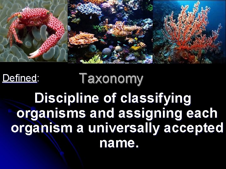 Taxonomy Discipline of classifying organisms and assigning each organism a universally accepted name. Defined:
