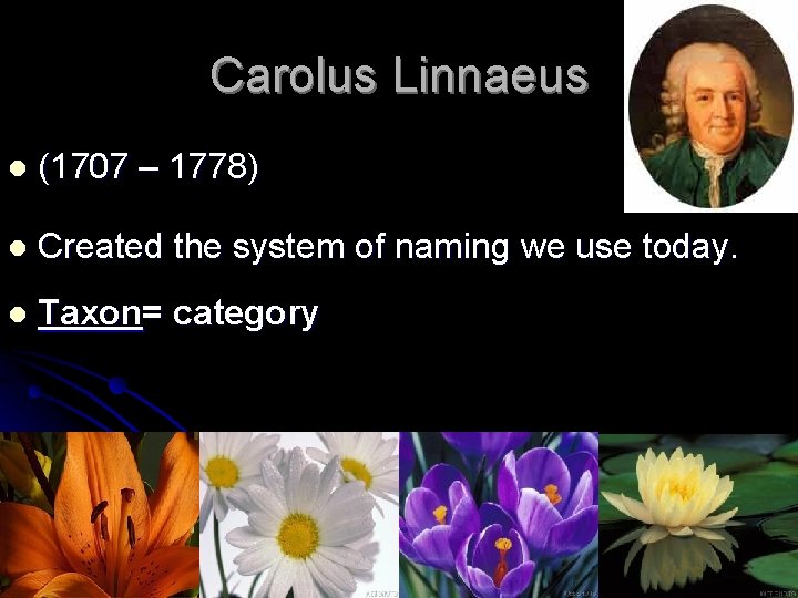 Carolus Linnaeus l (1707 – 1778) l Created the system of naming we use