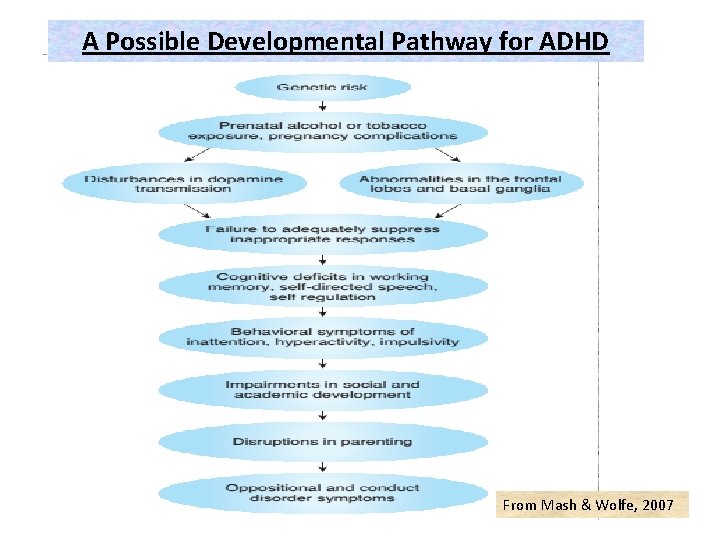 A Possible Developmental Pathway for ADHD From Mash & Wolfe, 2007 