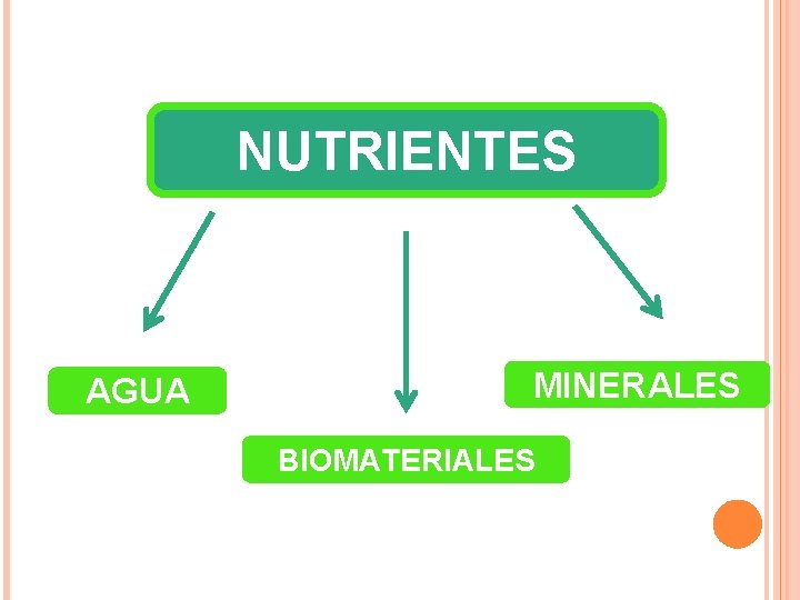 NUTRIENTES AGUA MINERALES BIOMATERIALES 