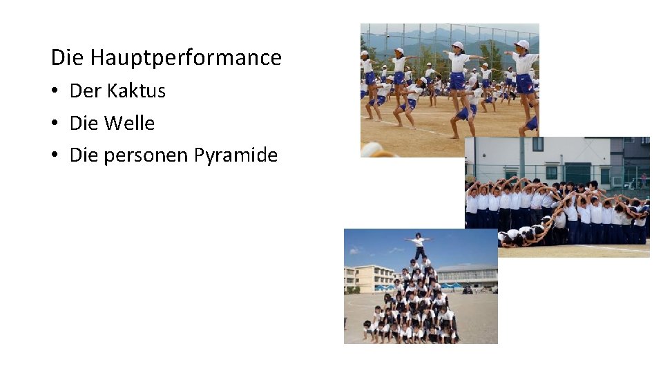 Die Hauptperformance • Der Kaktus • Die Welle • Die personen Pyramide 