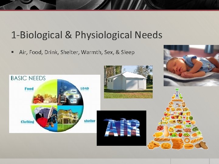 1 -Biological & Physiological Needs § Air, Food, Drink, Shelter, Warmth, Sex, & Sleep