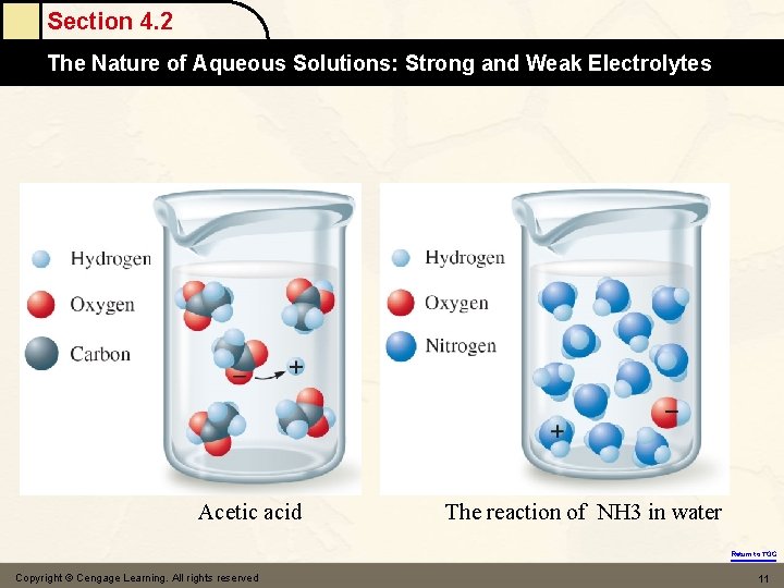 Section 4. 2 The Nature of Aqueous Solutions: Strong and Weak Electrolytes Acetic acid