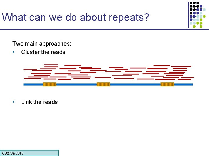 What can we do about repeats? Two main approaches: • Cluster the reads •