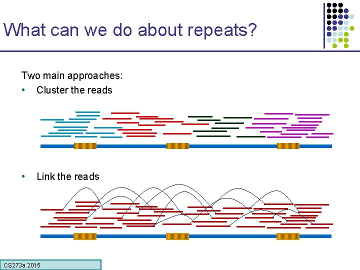 What can we do about repeats? Two main approaches: • Cluster the reads •