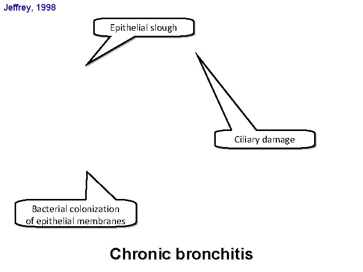 Jeffrey, 1998 Epithelial slough Ciliary damage Bacterial colonization of epithelial membranes Chronic bronchitis 