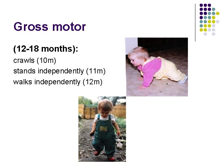 Gross motor (12 -18 months): crawls (10 m) stands independently (11 m) walks independently