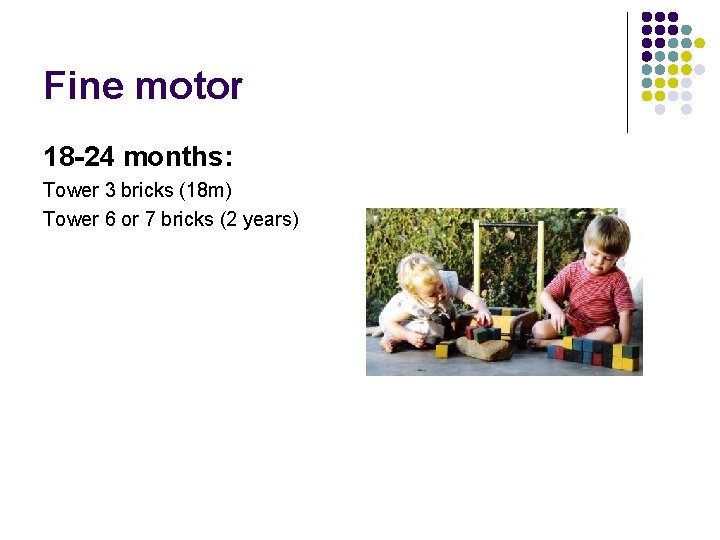 Fine motor 18 -24 months: Tower 3 bricks (18 m) Tower 6 or 7