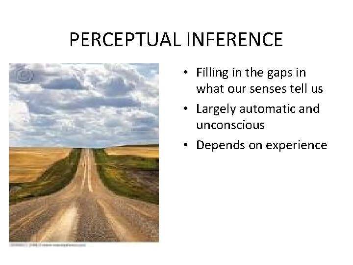 PERCEPTUAL INFERENCE • Filling in the gaps in what our senses tell us •