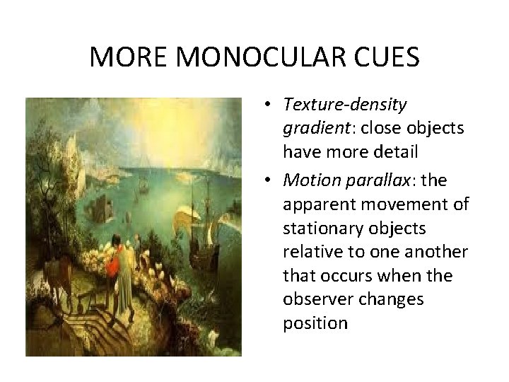 MORE MONOCULAR CUES • Texture-density gradient: close objects have more detail • Motion parallax: