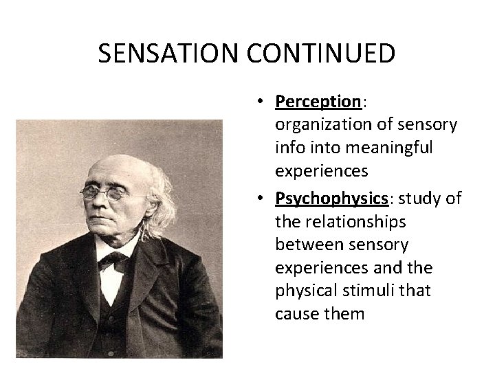 SENSATION CONTINUED • Perception: organization of sensory info into meaningful experiences • Psychophysics: study