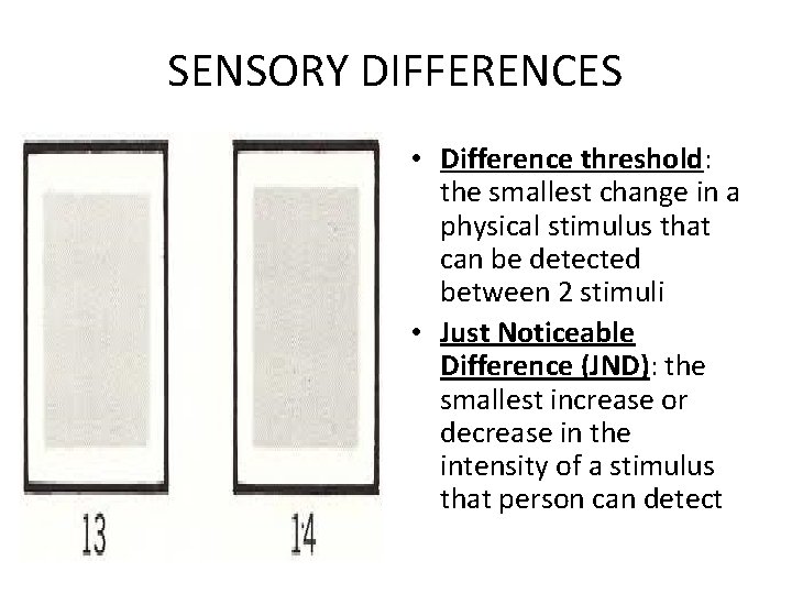 SENSORY DIFFERENCES • Difference threshold: the smallest change in a physical stimulus that can