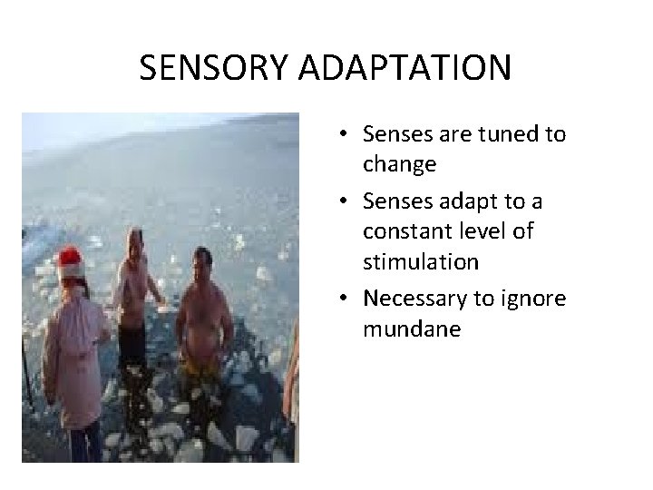 SENSORY ADAPTATION • Senses are tuned to change • Senses adapt to a constant