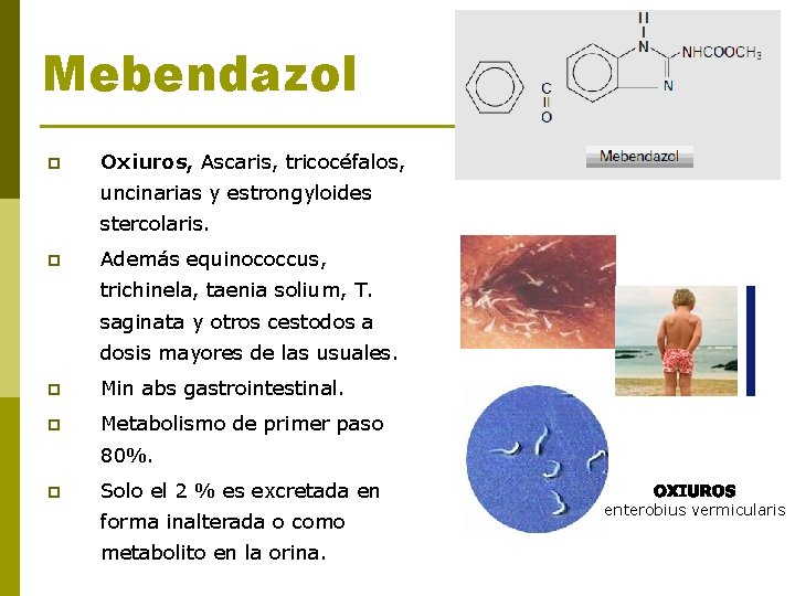 Mebendazol p Oxiuros, Ascaris, tricocéfalos, uncinarias y estrongyloides stercolaris. p Además equinococcus, trichinela, taenia